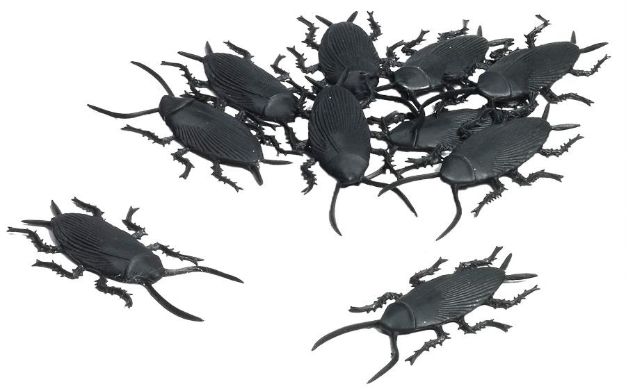 Cockroach Props Pack of 10