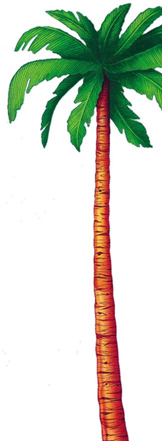 Palm Tree Cutout 6ft Prop