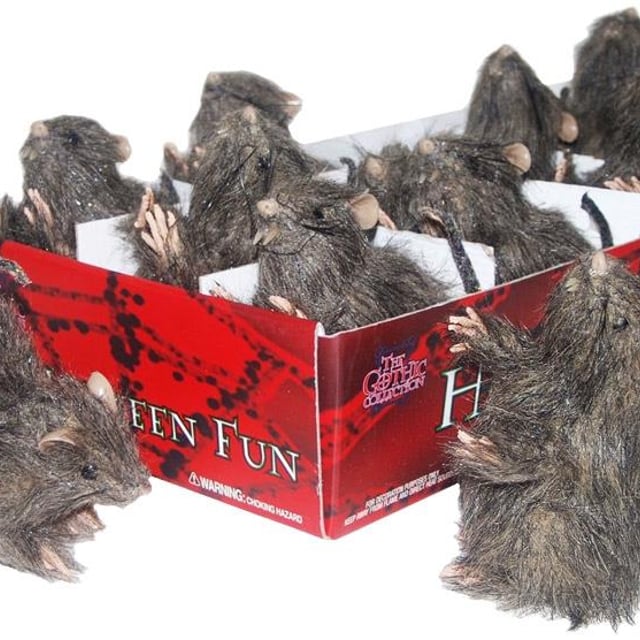 Furry Rat Halloween Prop Assorted Poses | Discount Party Supplies ...