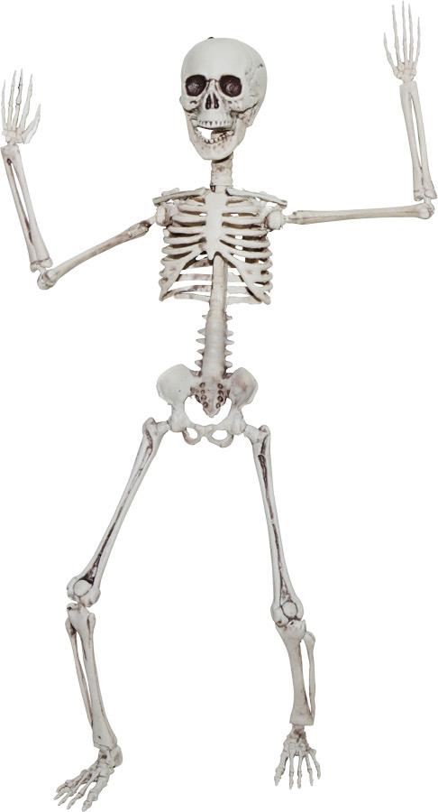 Poseable Skeleton 20in Halloween Prop