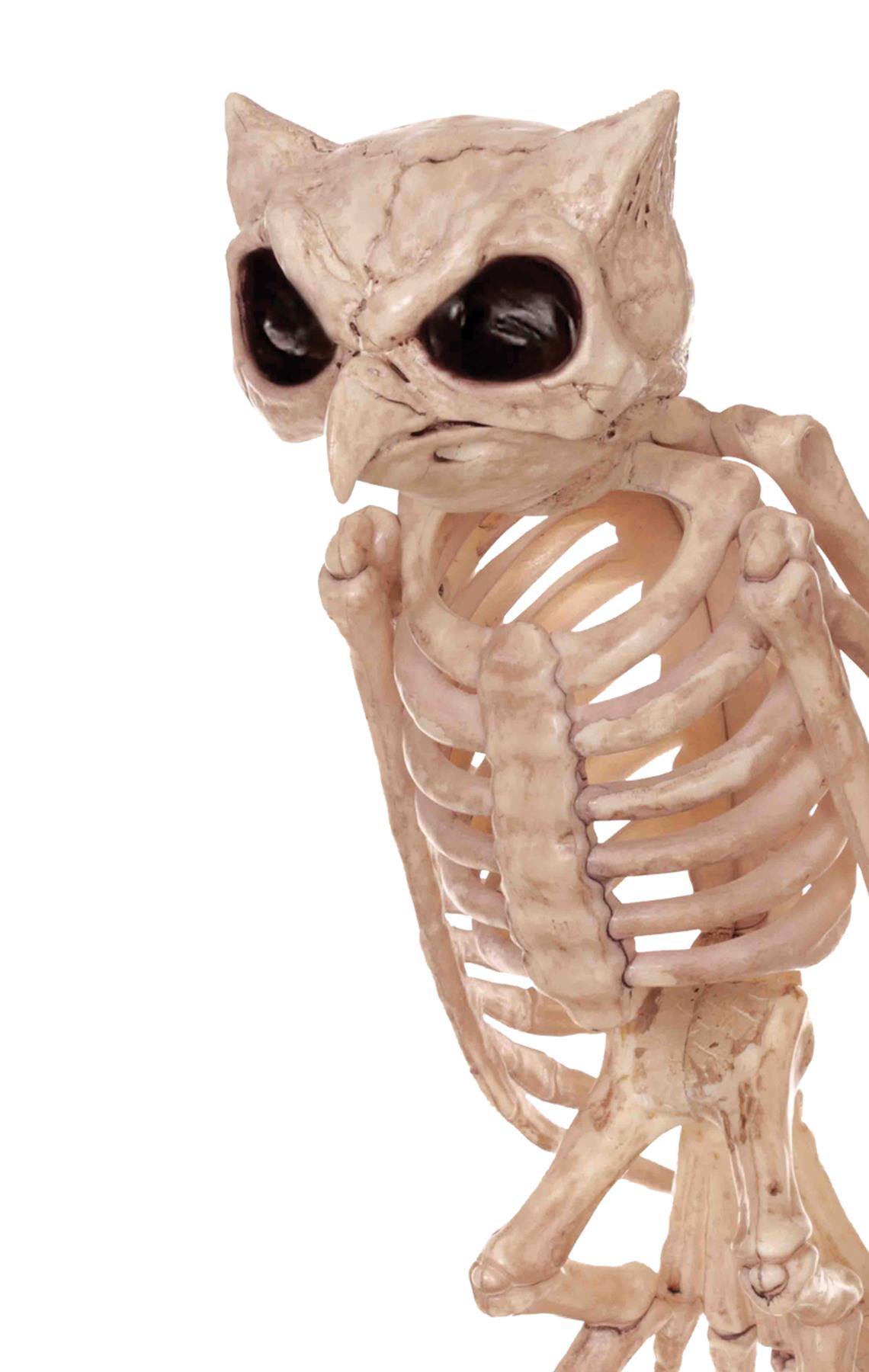 Skeleton Owl Halloween Prop