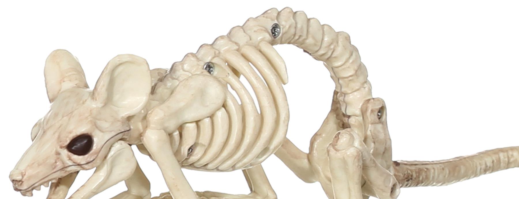 Mouse Crawling Skeleton Halloween Prop