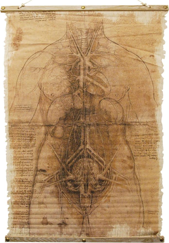 Evil Anatomy Scroll Halloween Prop