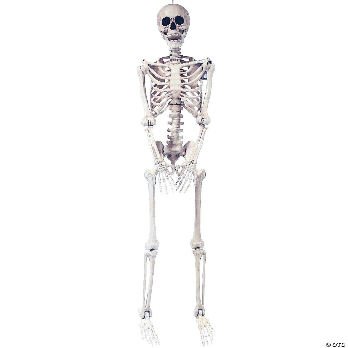 Pose and Hold Skeleton Halloween Prop