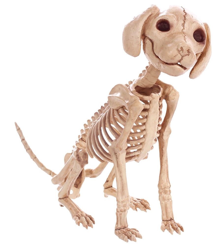 Puppy Sitting Skeleton Halloween Prop