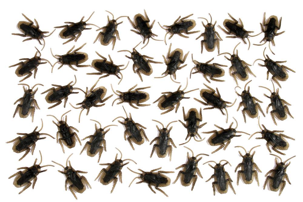 Plastic Cockroach Halloween Props Pack of 40