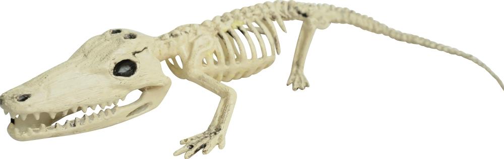 Alligator Skeleton Halloween Prop