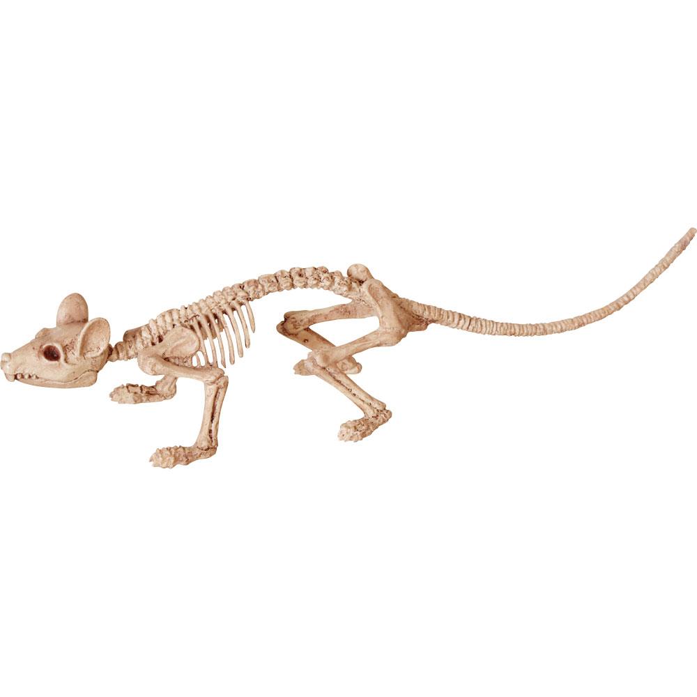 Mini Rat Skeleton Halloween Prop