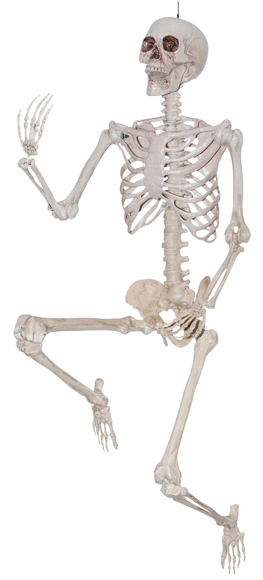 Skeleton Titan 6.6ft Halloween Prop