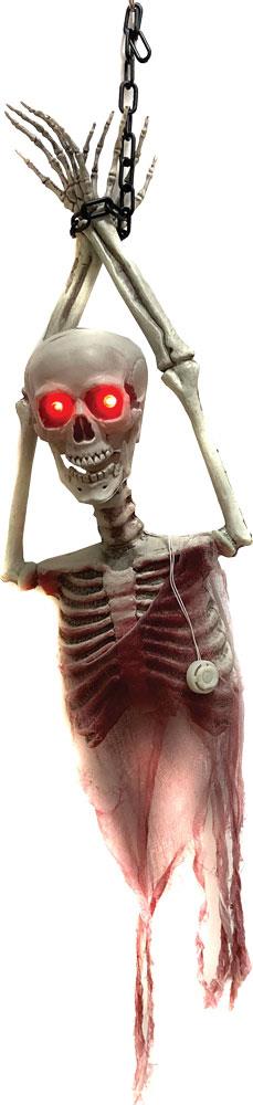Skeleton Torso Hanging Halloween Prop