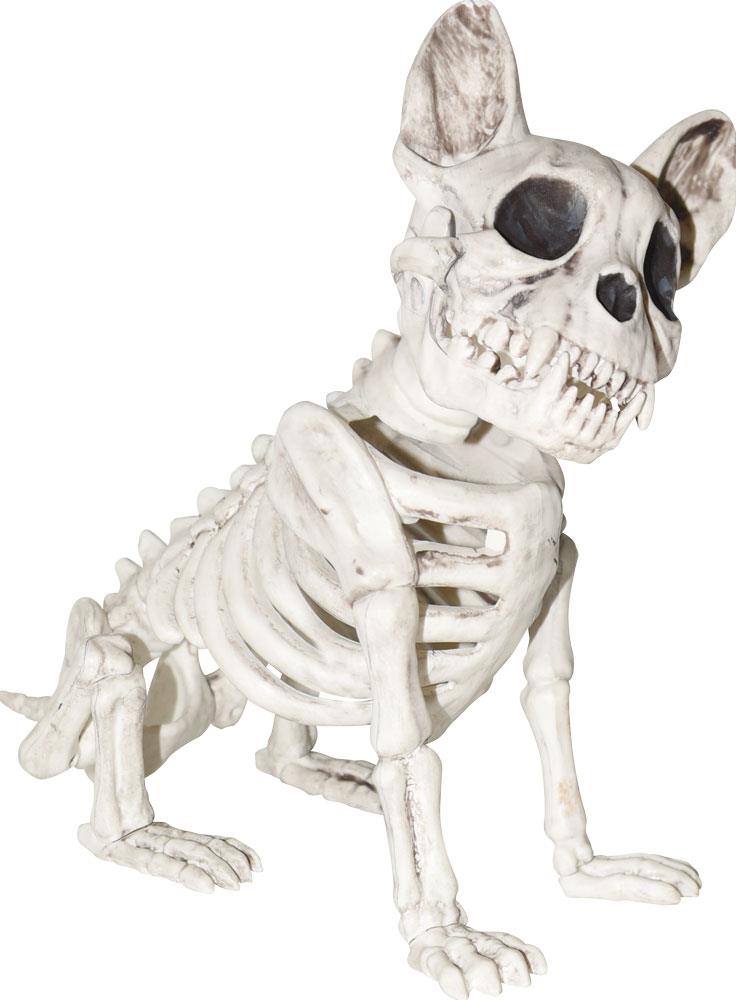 French Bulldog Skeleton Halloween Prop