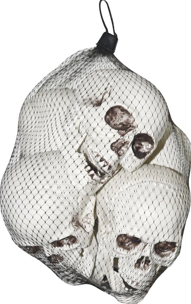 Plastic Skulls Halloween Props Pack of 6