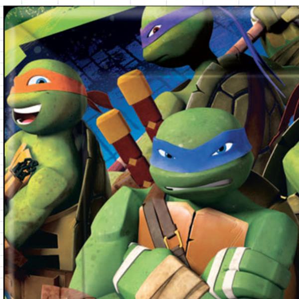 Teenage Mutant Ninja Turtles Paper Lunch Plates 18cm Pack of 8