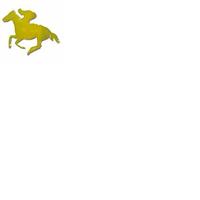 Horse Rider Melbourne Cup Gold 20cm Cutouts Pack of 12