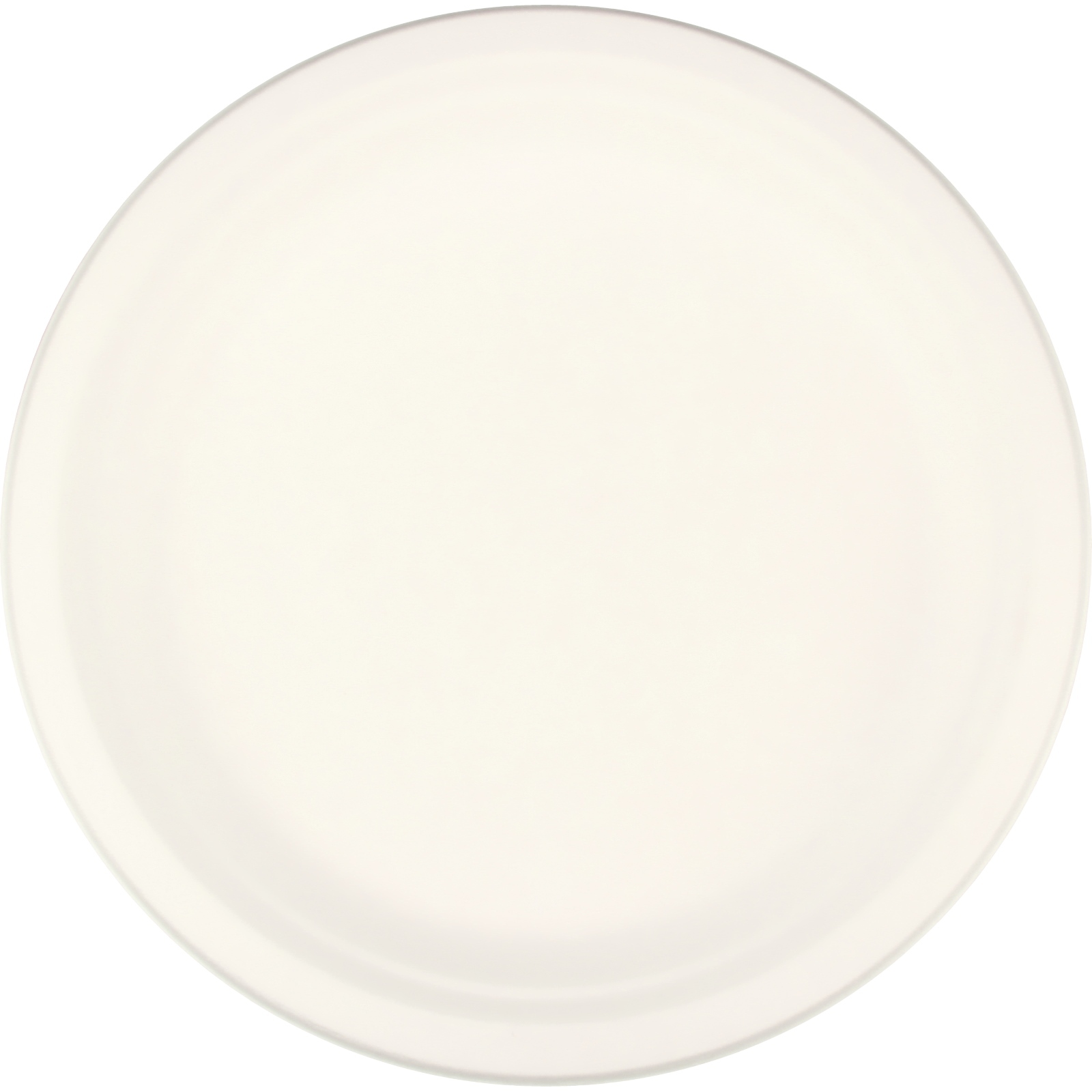 White Eco Friendly Large Round Paper Plates (Pack of 10)