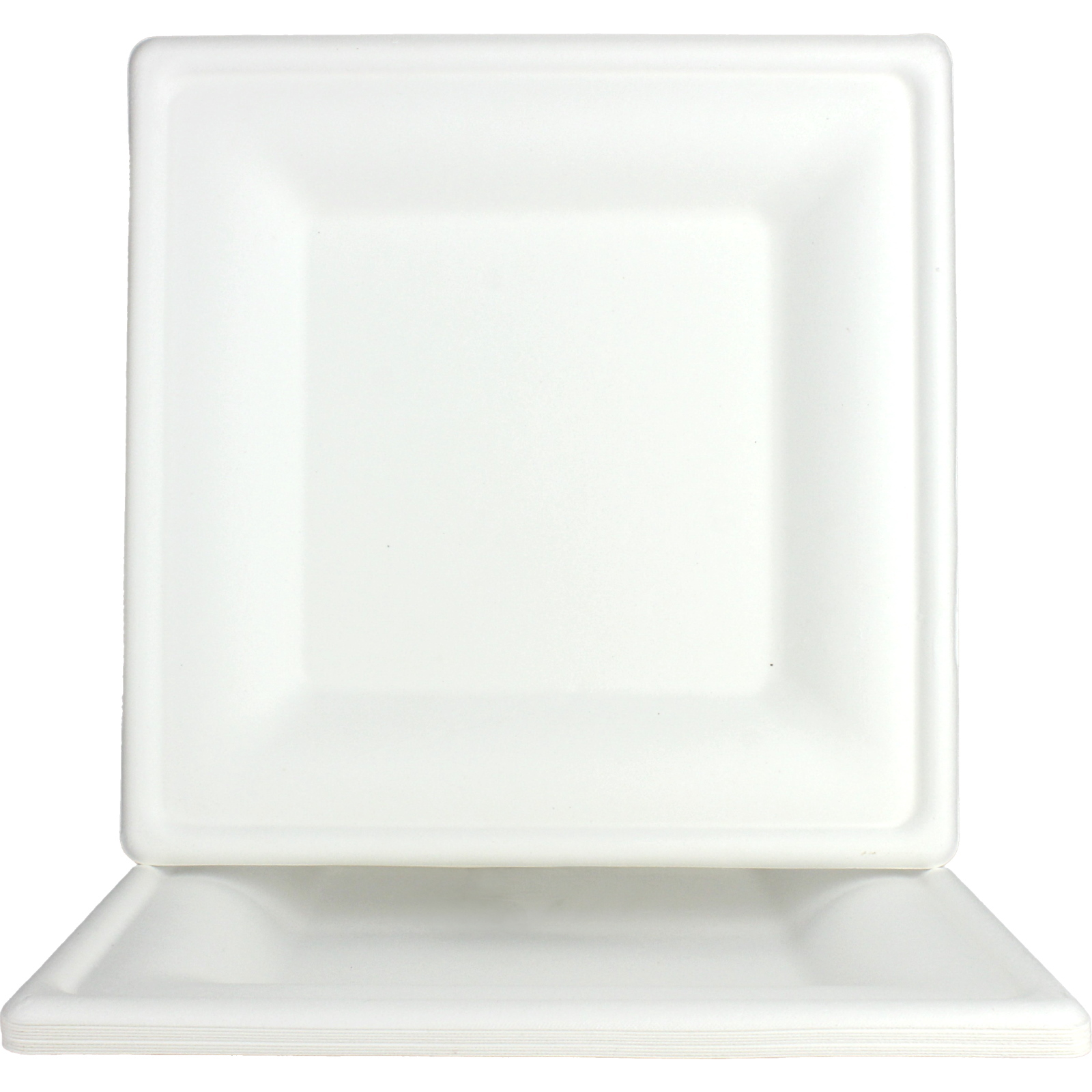 White Sugar Cane Large Square Paper Plates (Pack of 10)