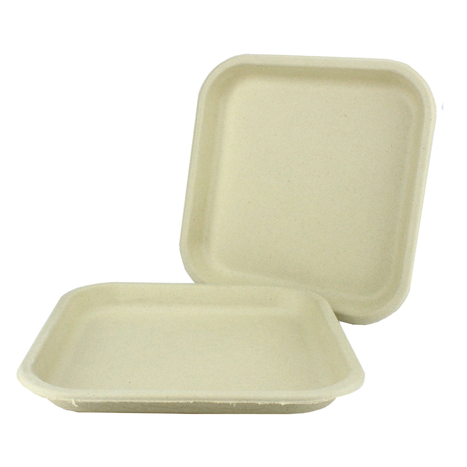 Sugarcane Pulp Large Plates (Pack of 10)