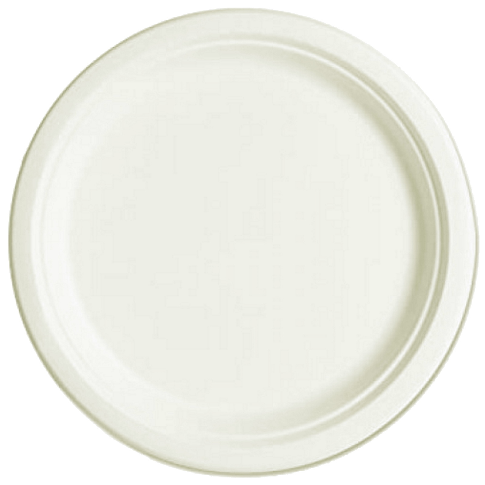 White Sugar Cane Large Plates 23cm (Pack of 10)