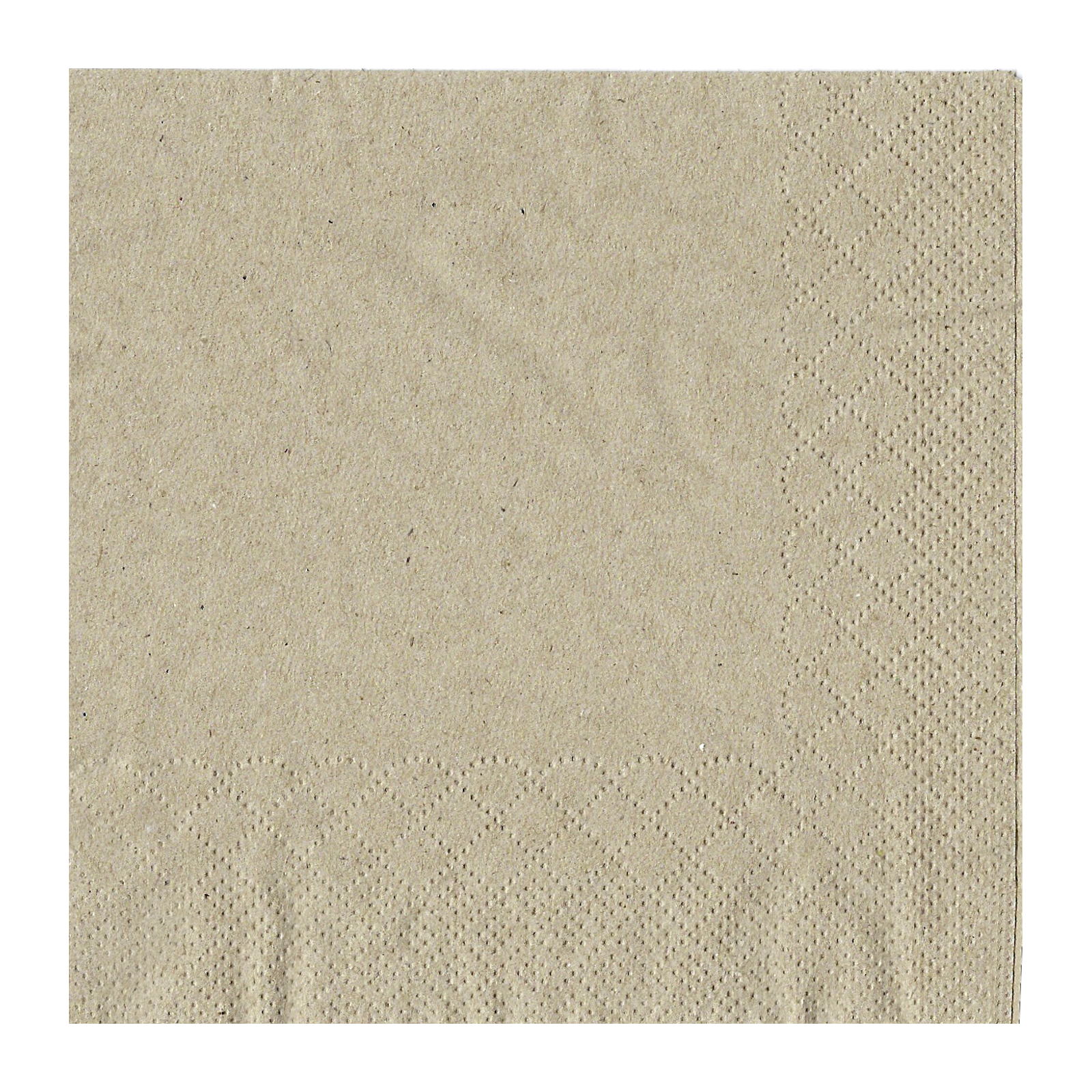 Biodegradable Small Napkins (Bulk Pack of 250)