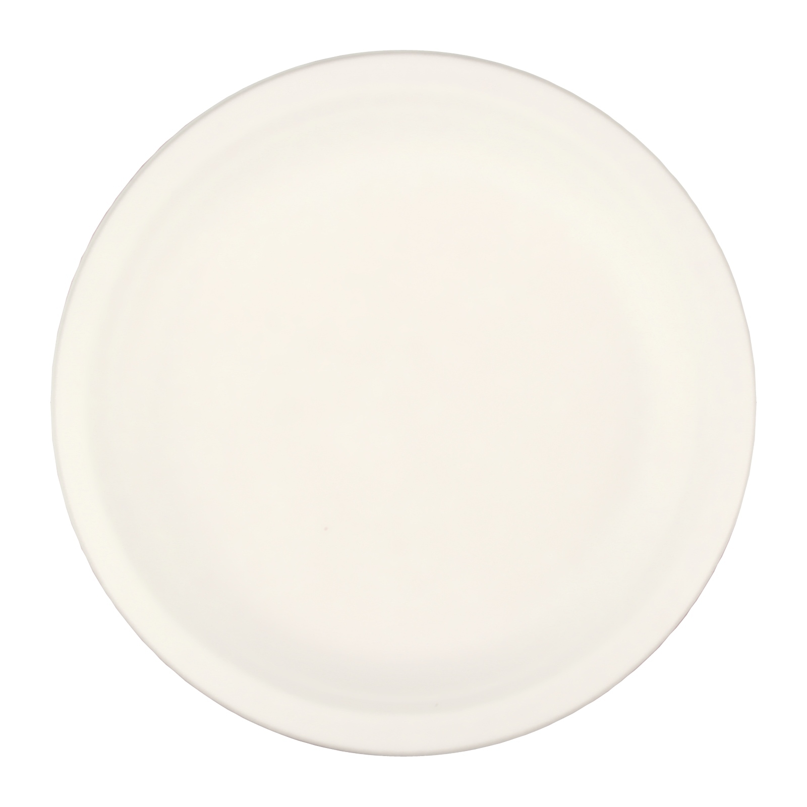 White Eco Friendly Small Round Paper Plates (Pack of 10)