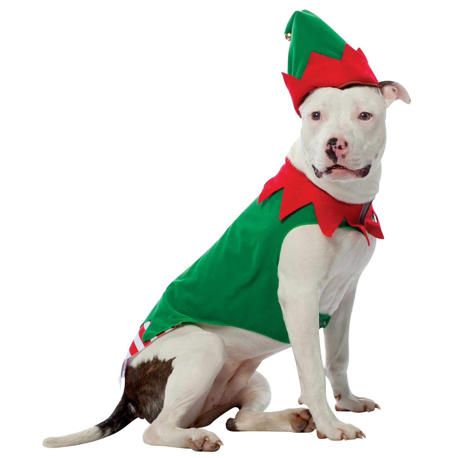 Elf Pet Costume XS
