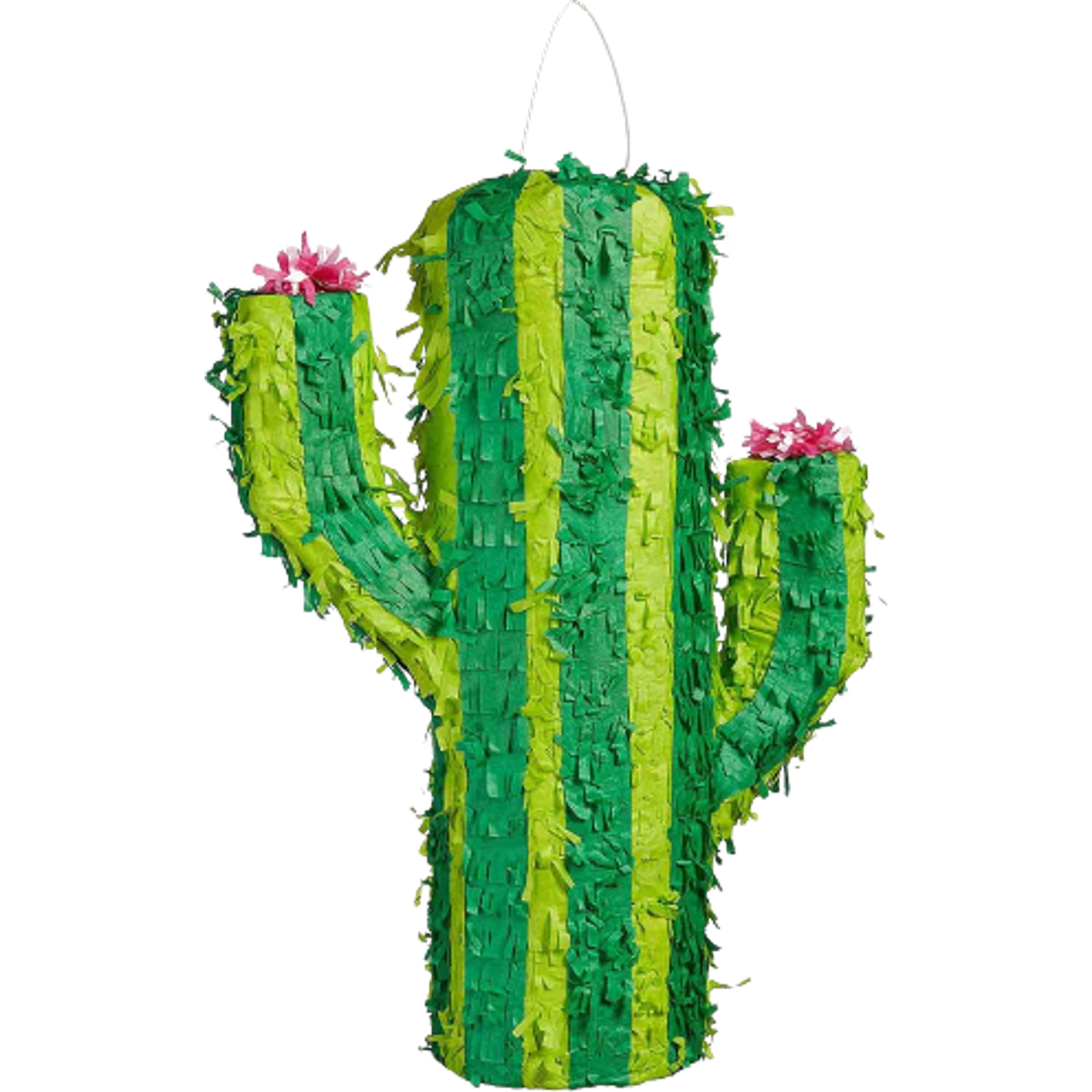 Cactus Pinata 50cm 