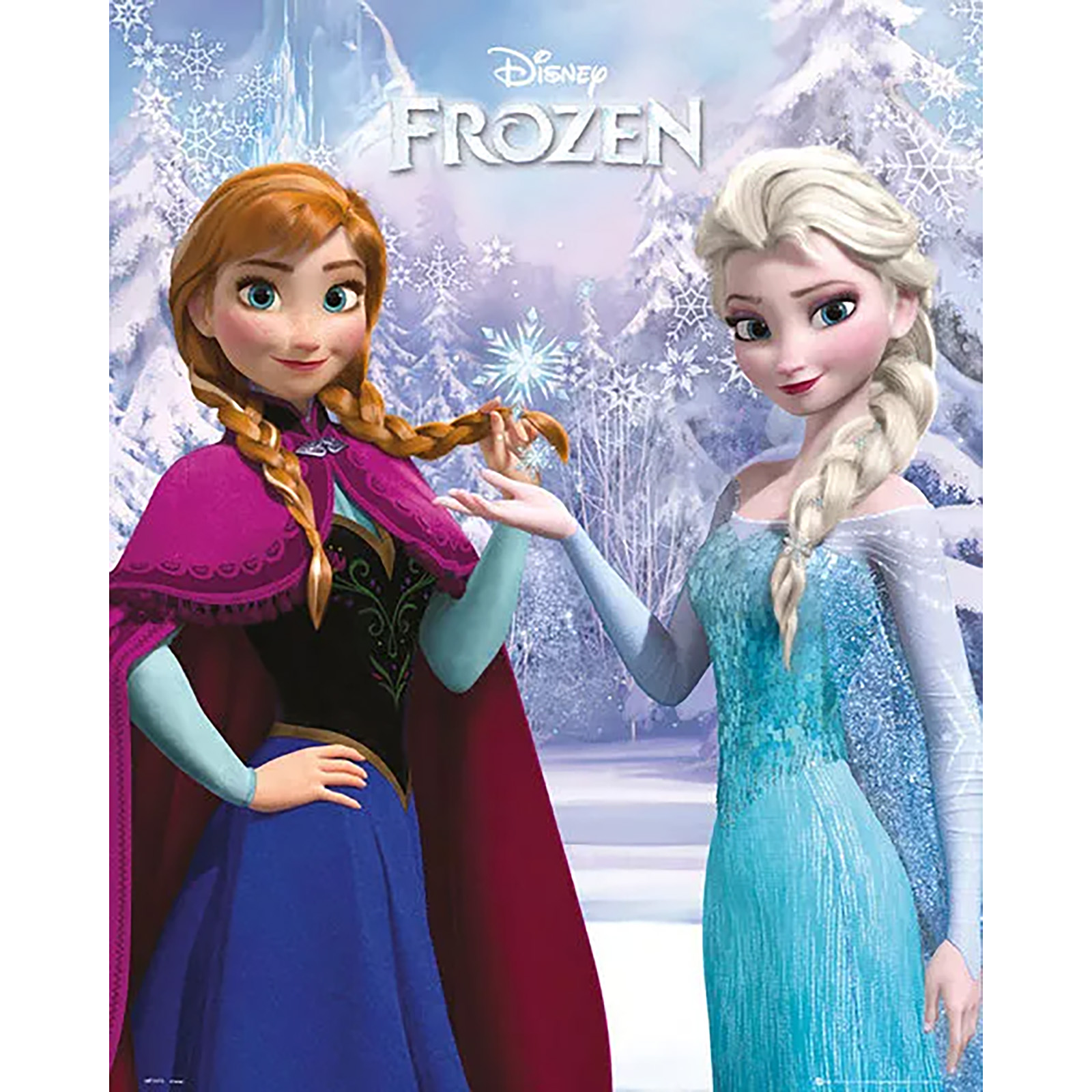 Disney Frozen Duo Poster