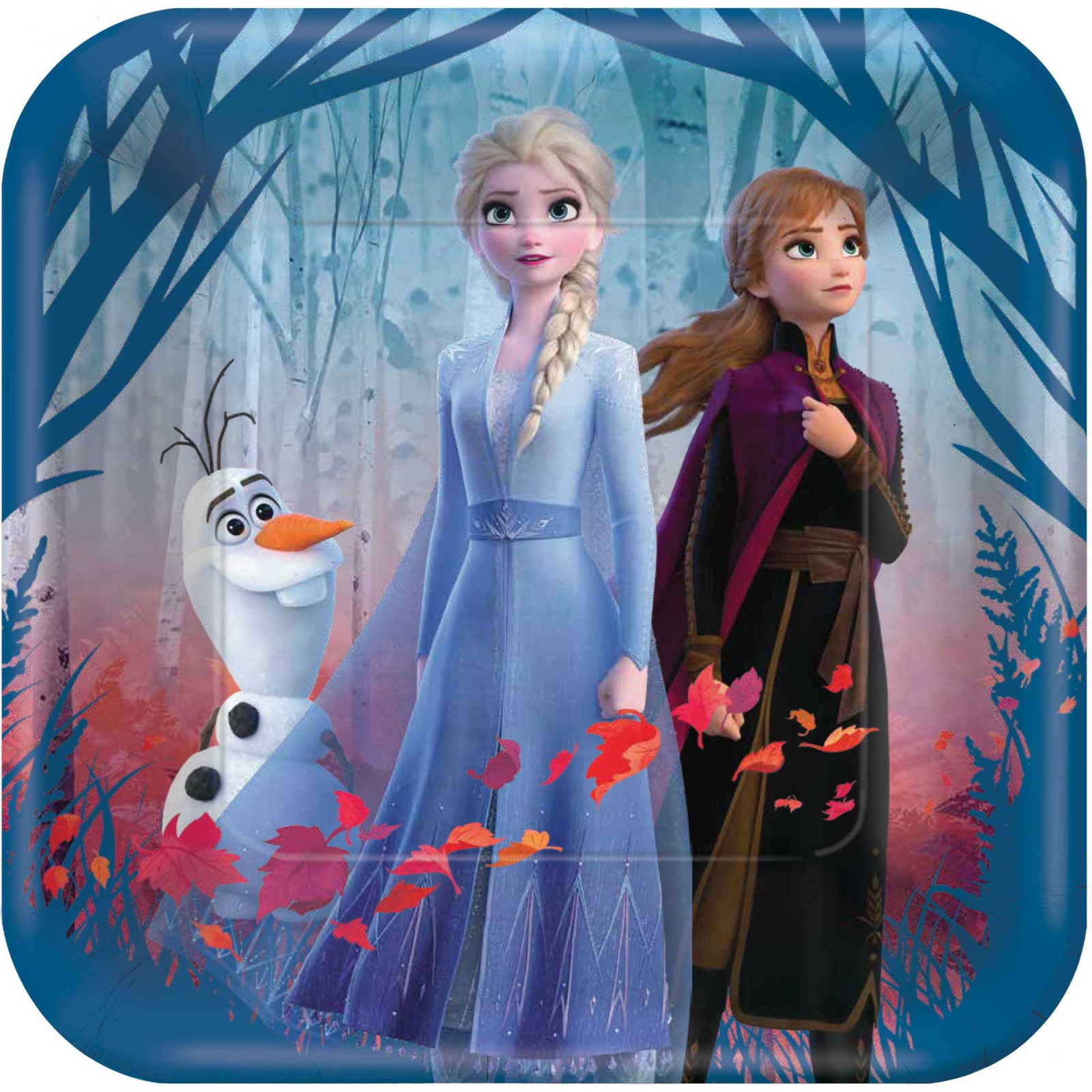 Frozen Party Supplies Girls Birthday Party Supplies Discount Party