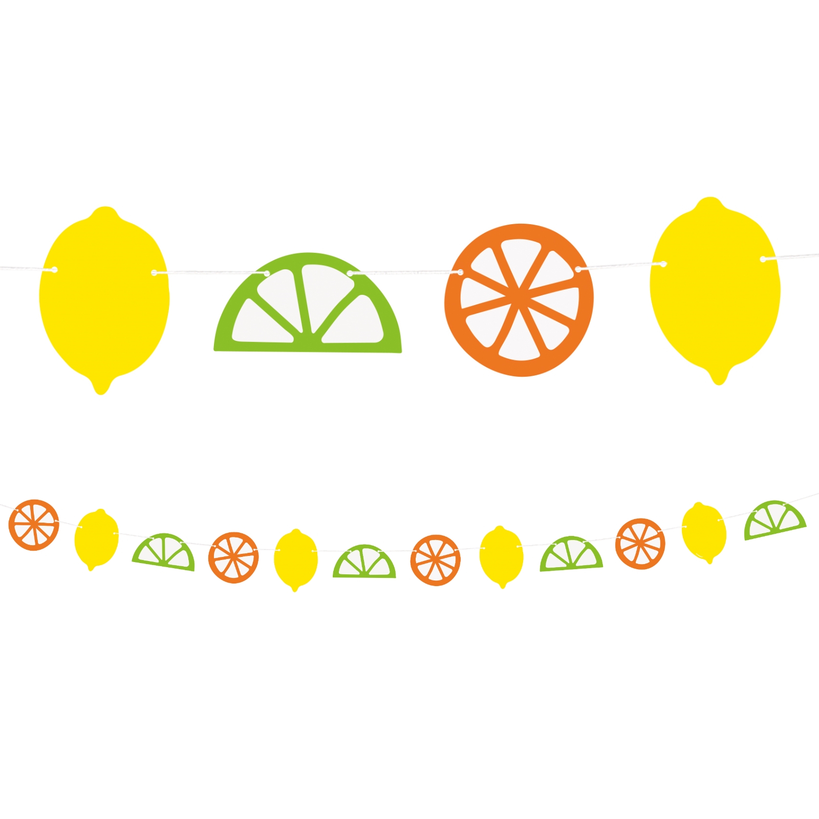Citrus Fruits Garland Banner
