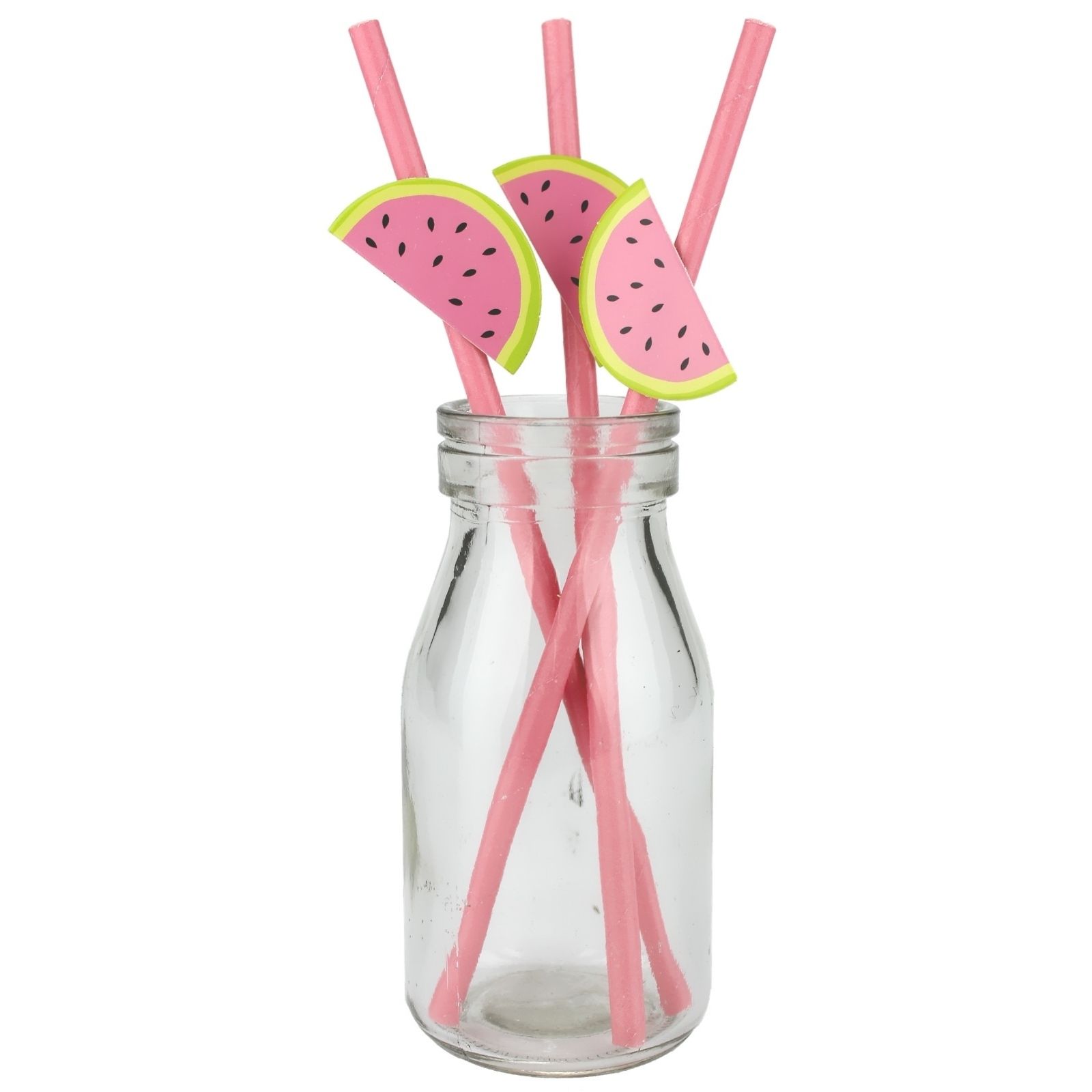 Pink Watermelon Paper Straws (Pack of 12)