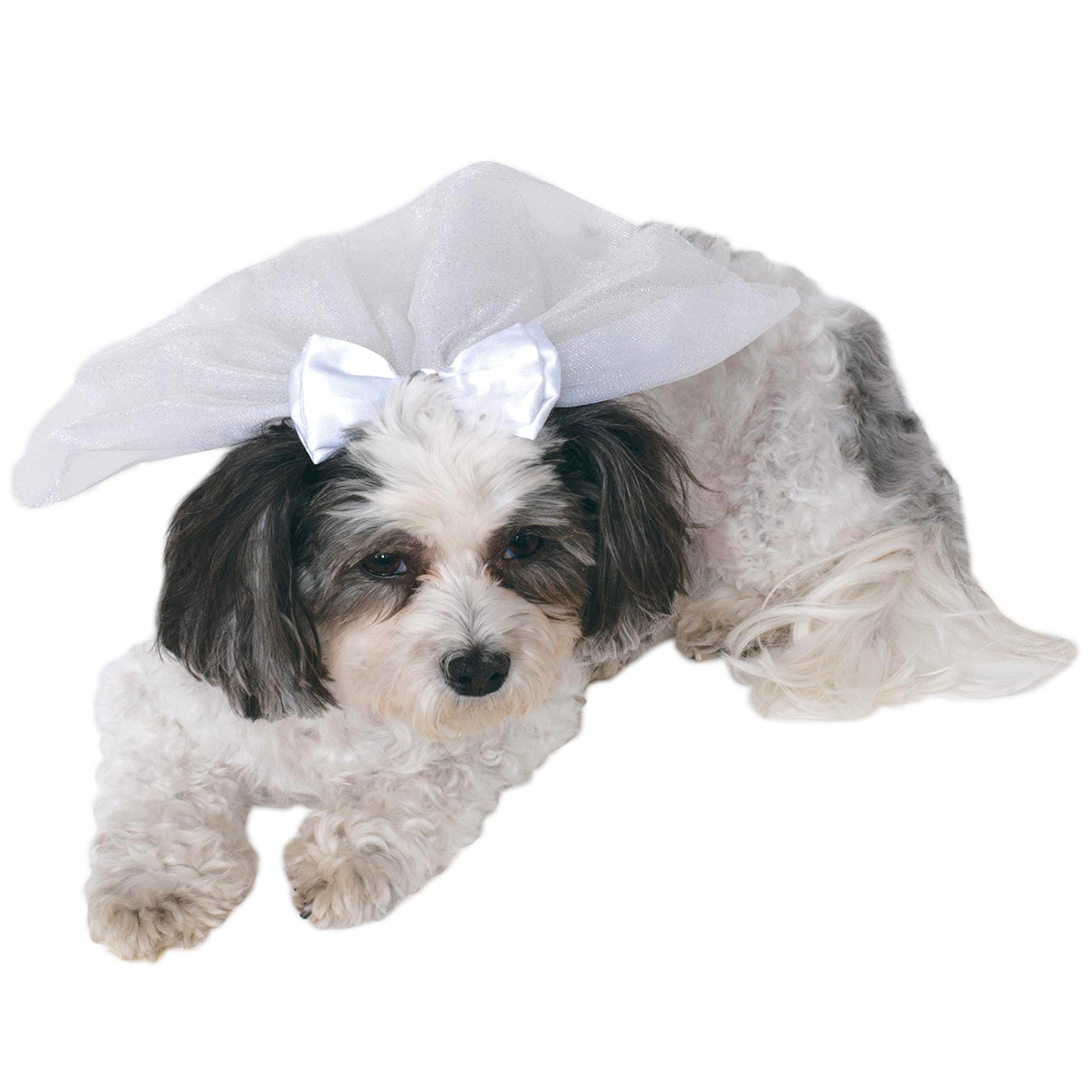 White Wedding Veil Pet Accessory