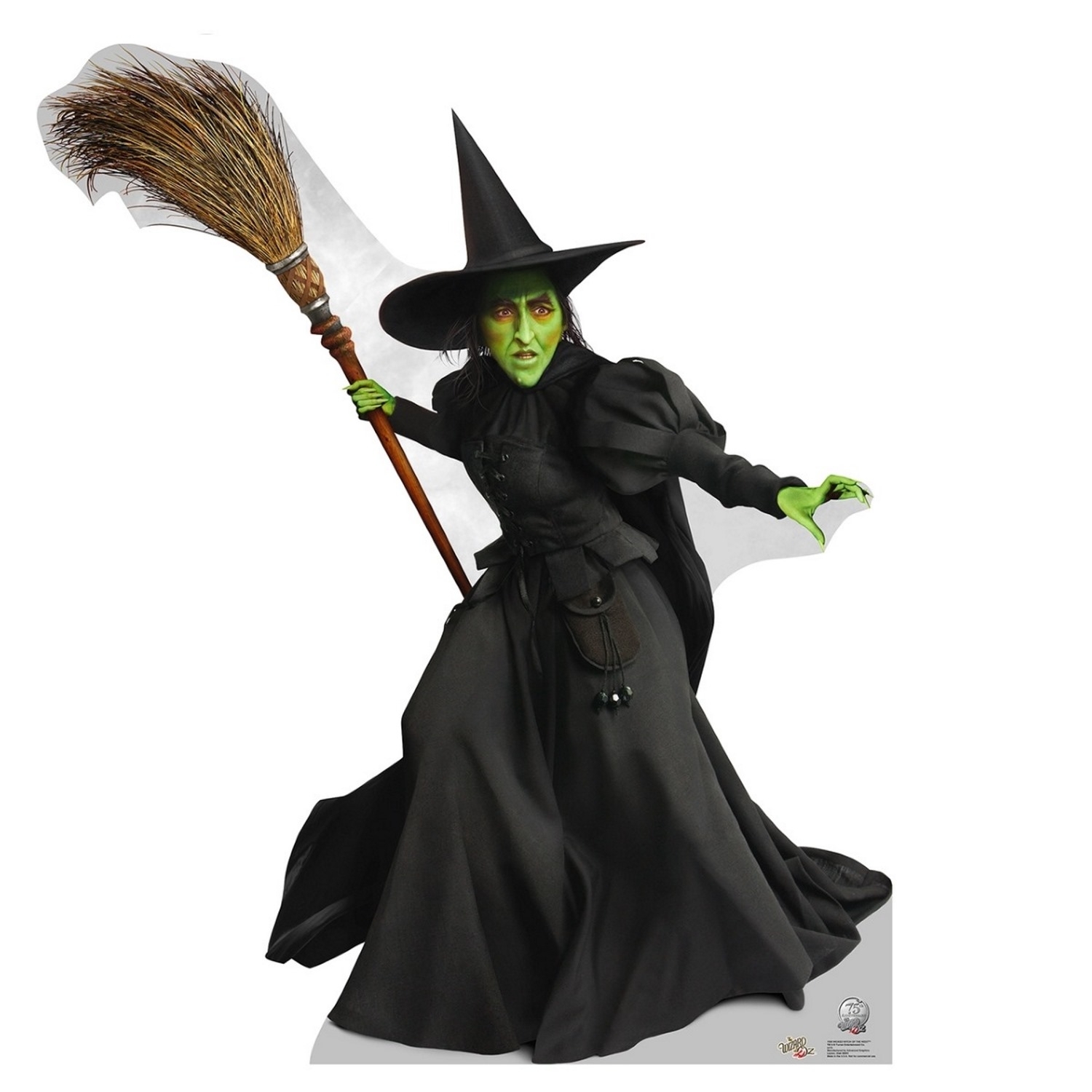 Wicked Witch Stand Up Photo Prop