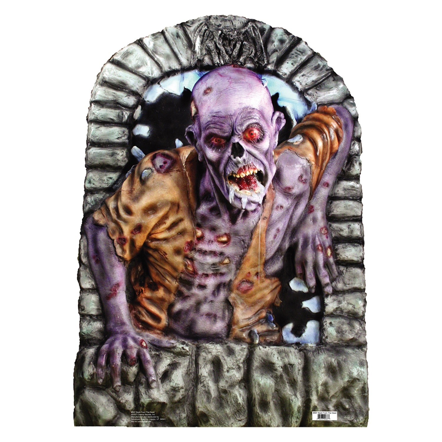 Back From The Dead Zombie Photo Prop