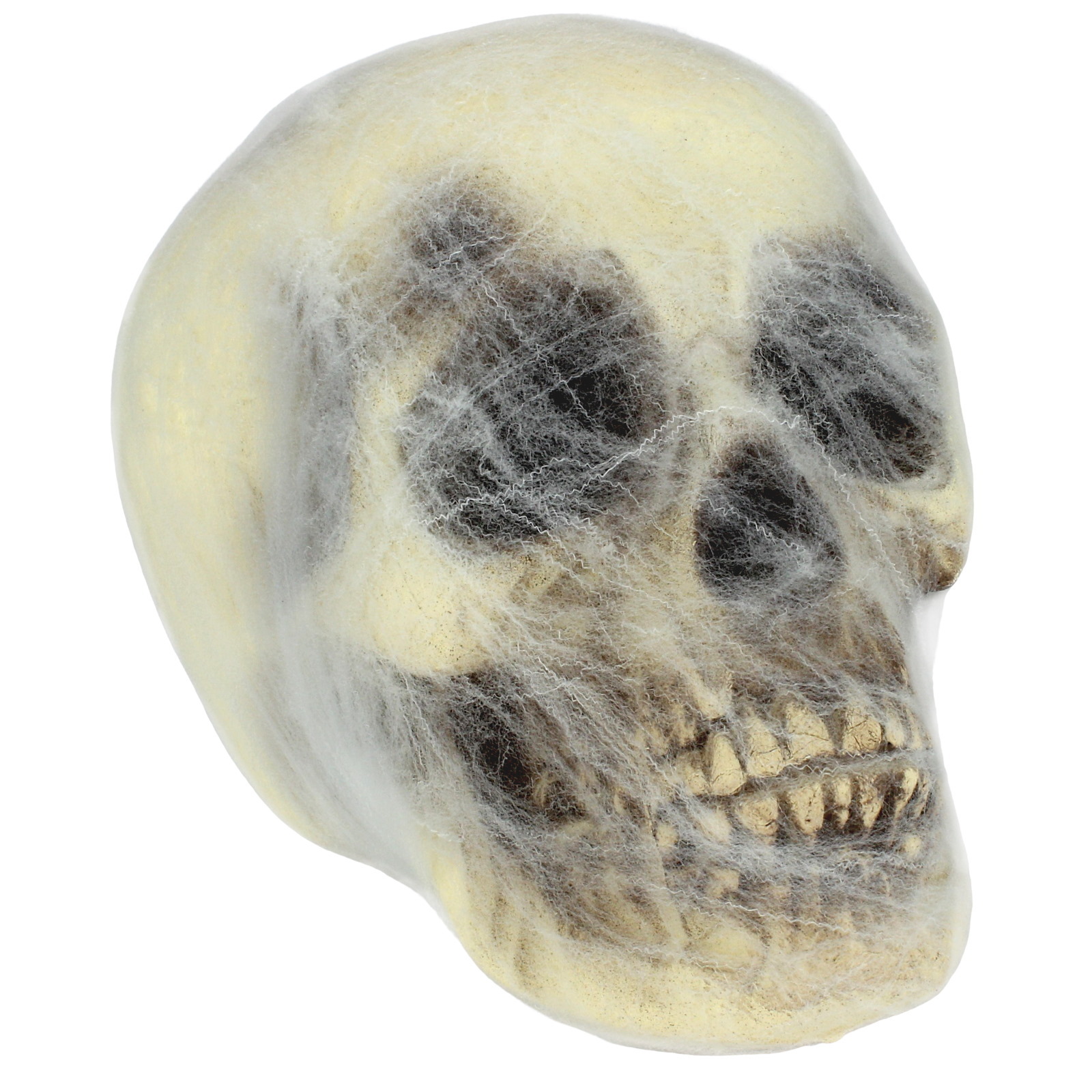 Cobweb Wrapped Skull