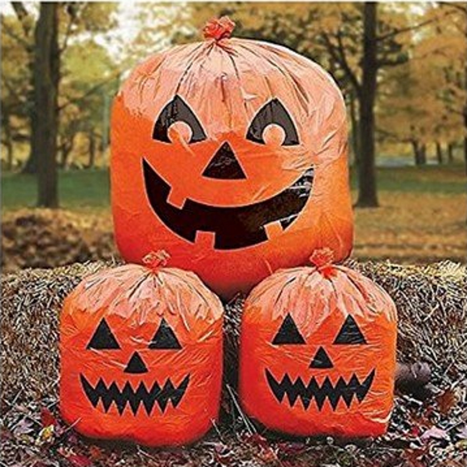Pumpkin Lawn Bags (Pack of 3)