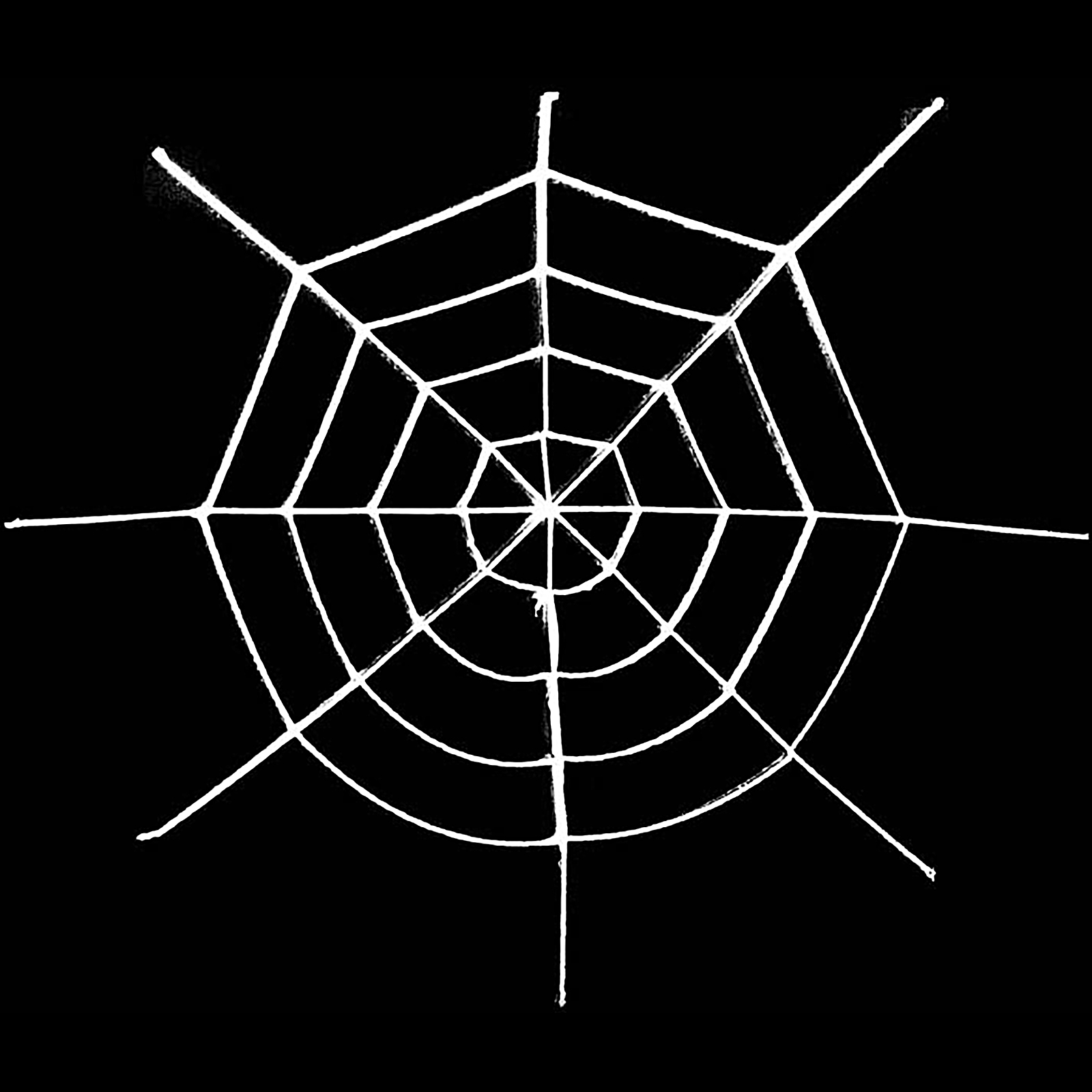 White Spider Web Decoration