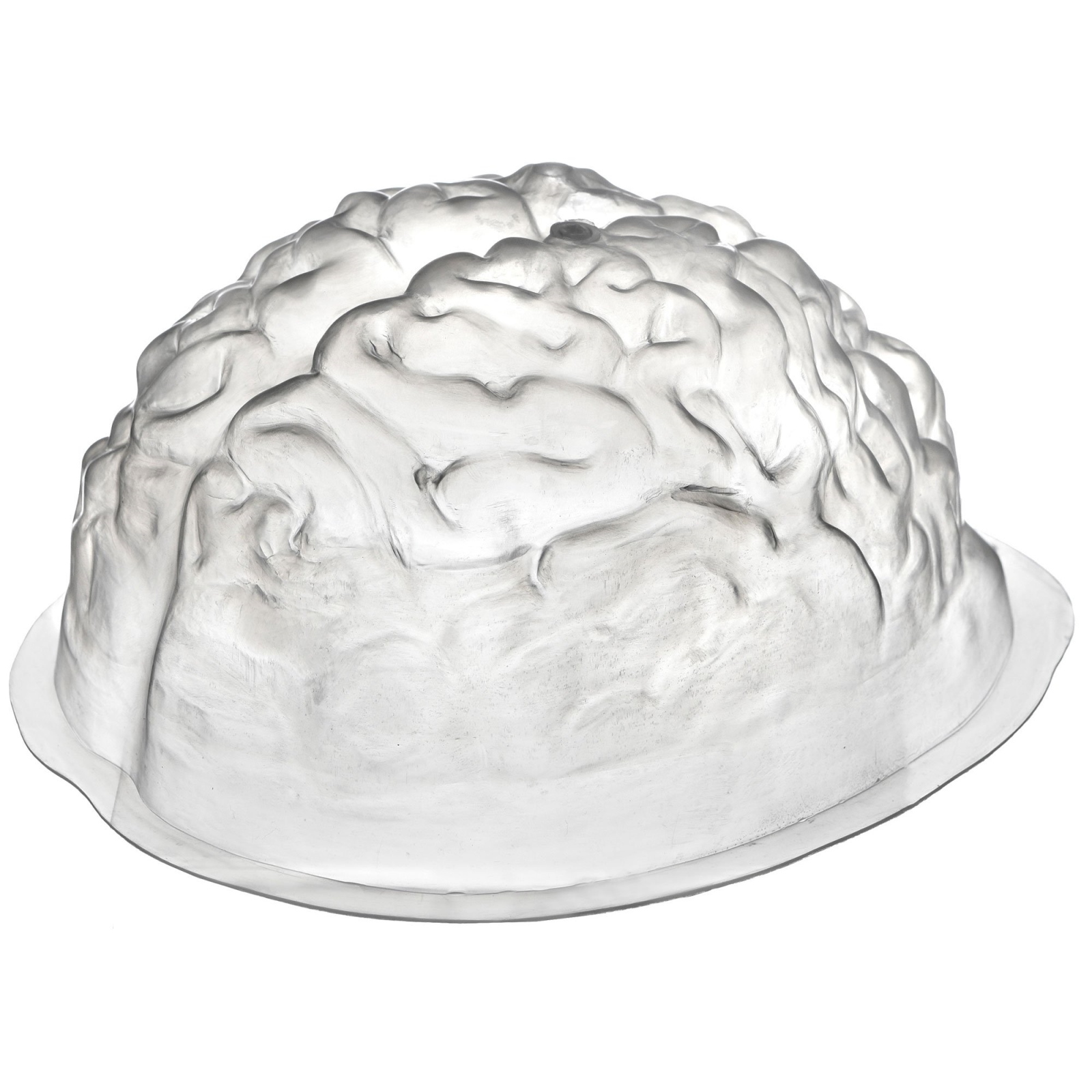 Plastic Brain Mould
