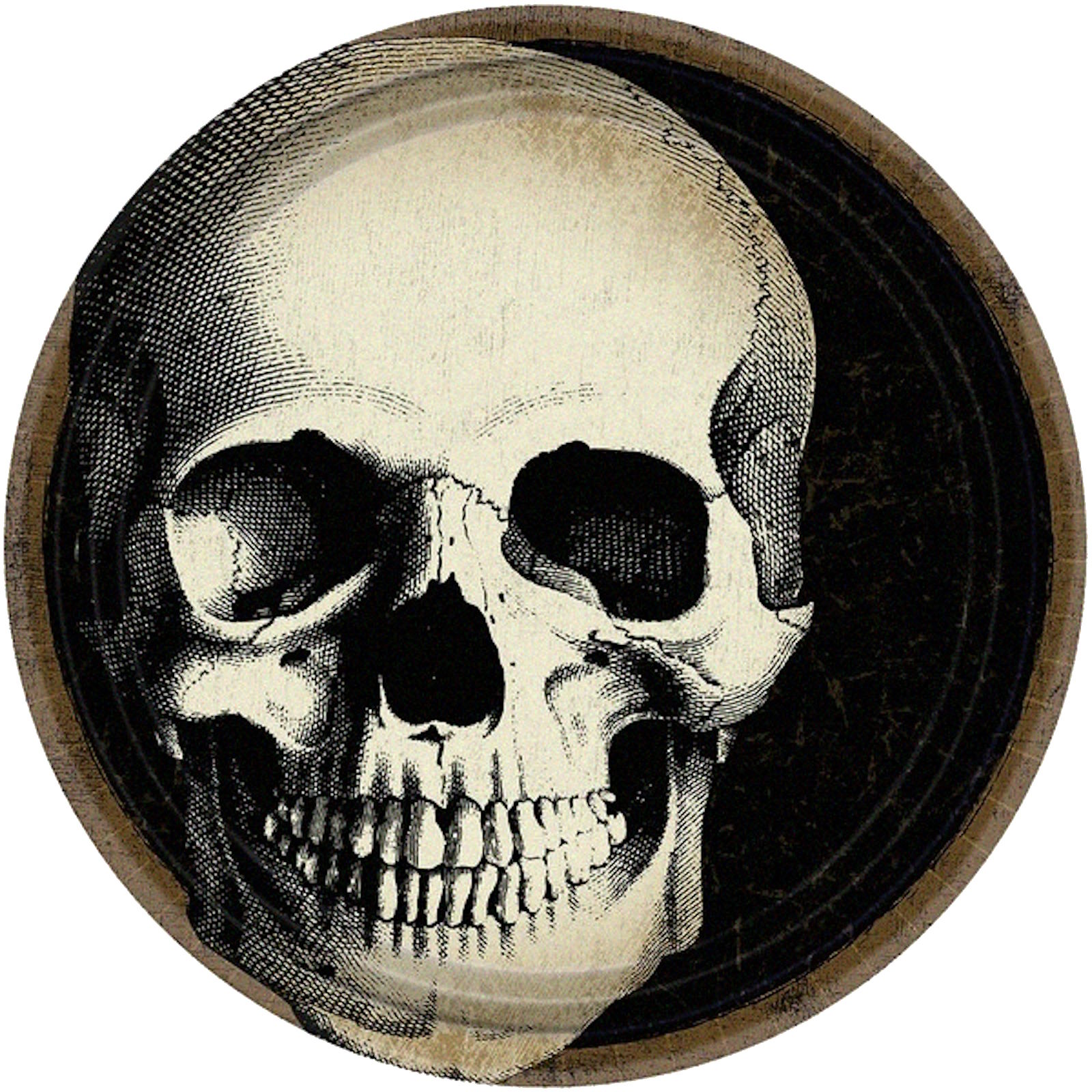 Boneyard Large Paper Plates (Pack of 8)