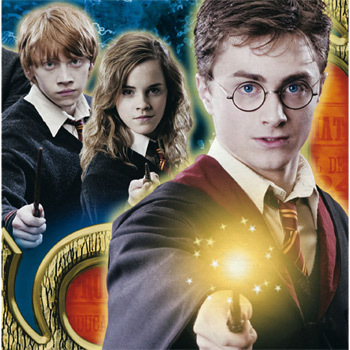 Harry Potter Large Napkins / Serviettes (Pack of 16)