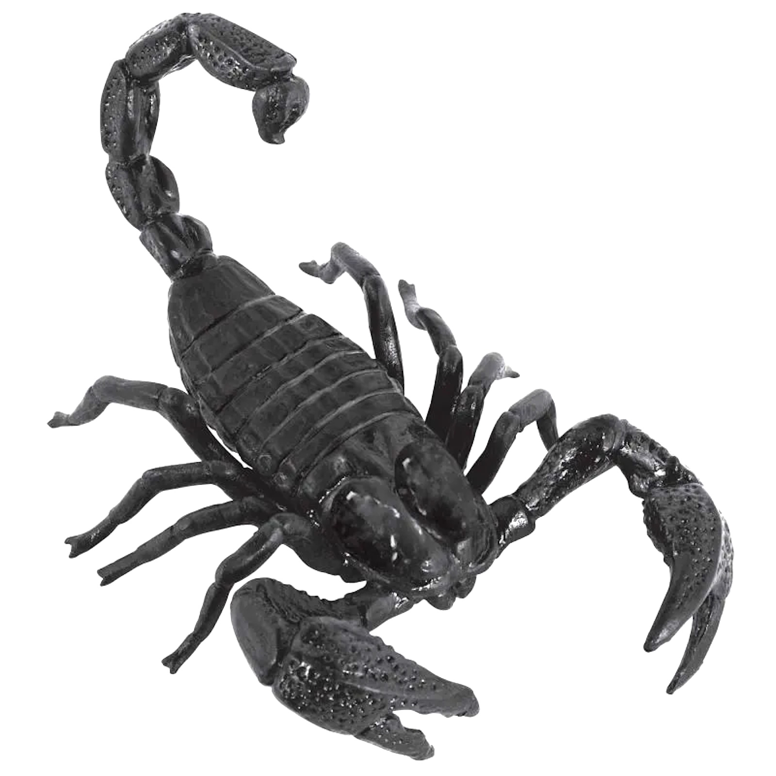 Large Black Plastic Scorpion Prop