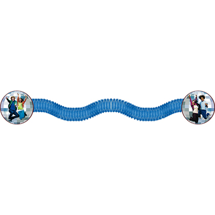 High School Musical Honeycomb Streamer