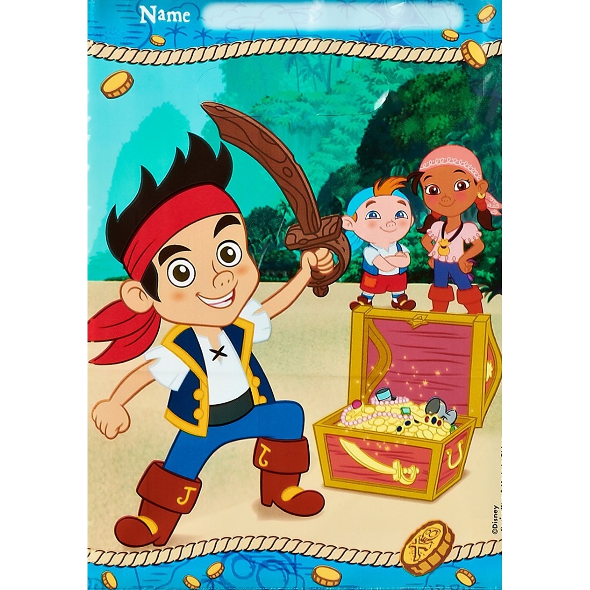 Jake and the Never Land Pirates Lolly/Treat Bags (Pack of 8)