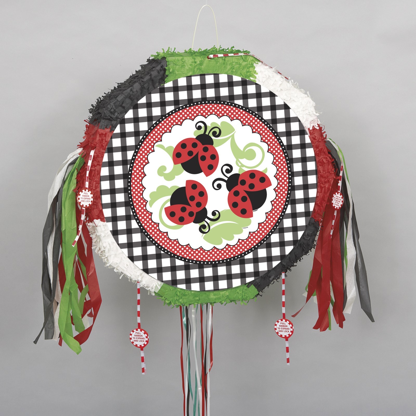 Lively Ladybugs Pull String Pinata