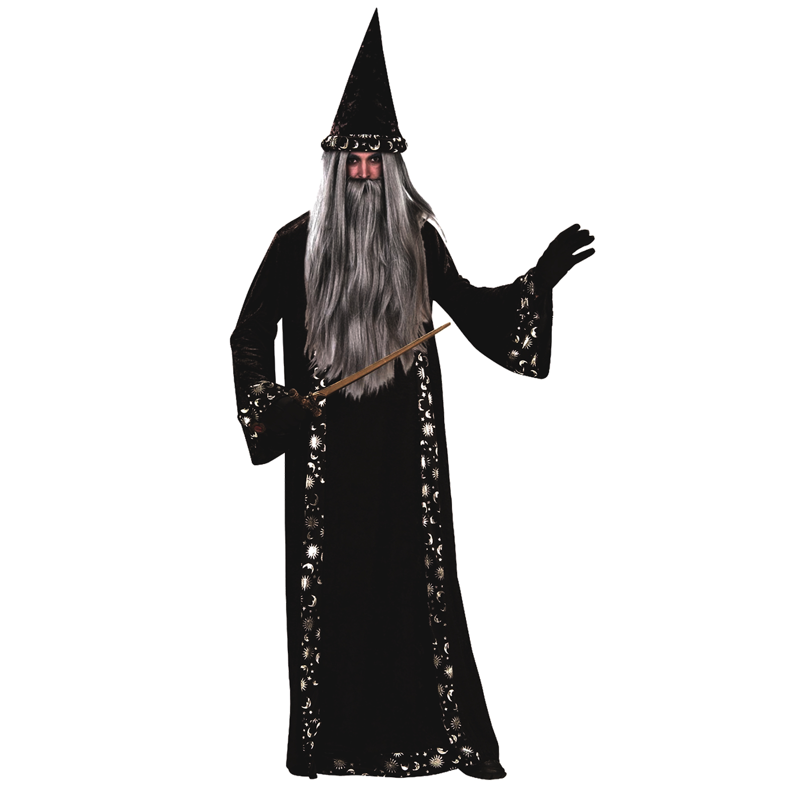 Mr Wizard Men's Costume