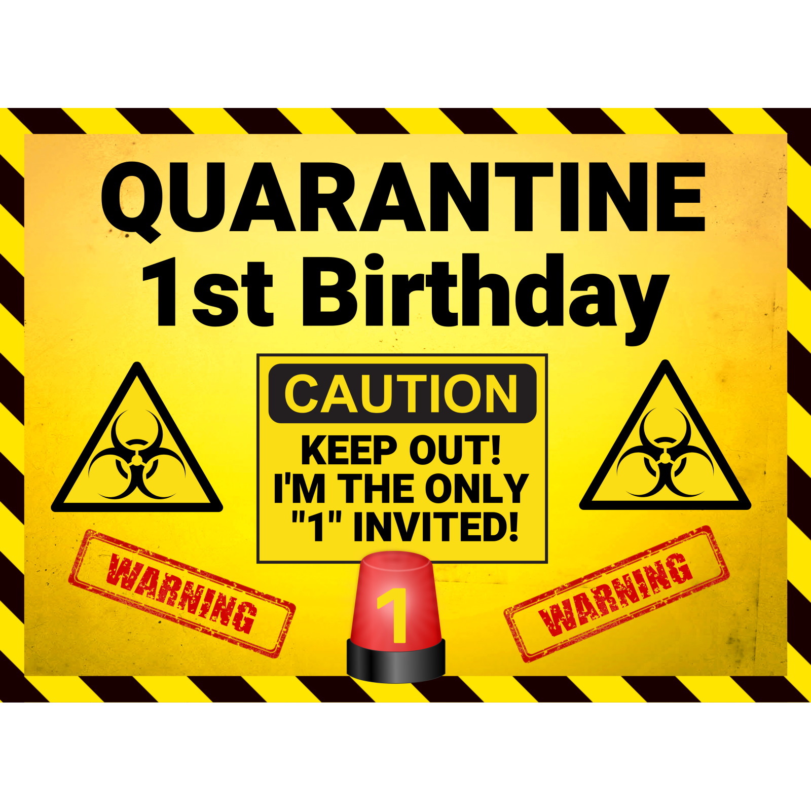 Quarantine 1st Birthday Fabric Backdrop 