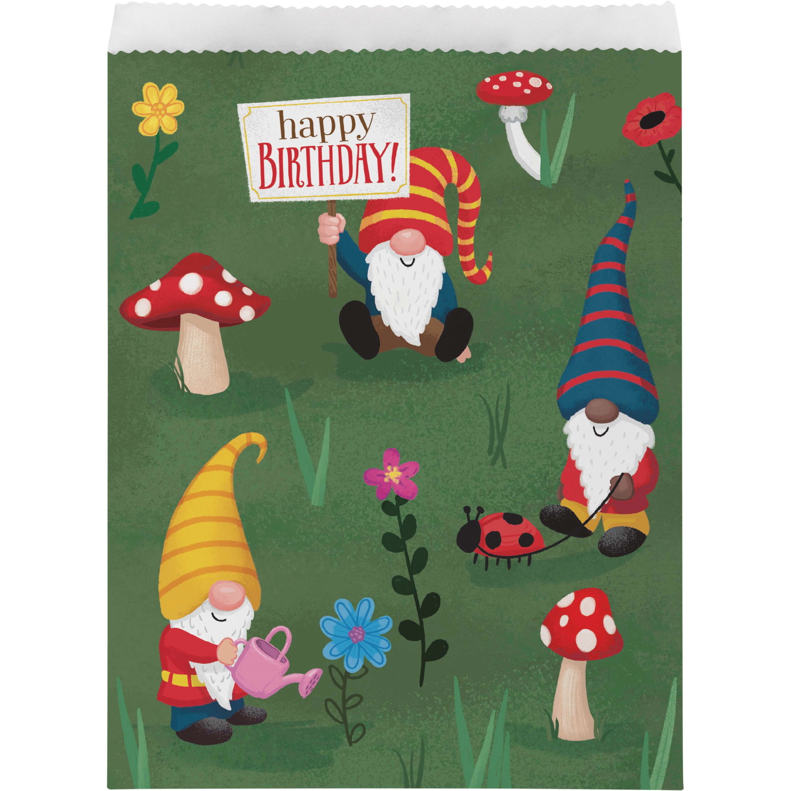 Party Gnomes Paper Lolly / Treat Bags (Pack of 8)