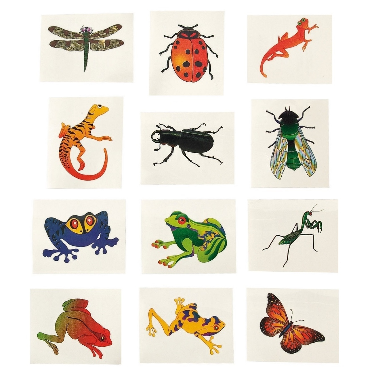 Insect and Reptile Tattoos (Pack of 72)