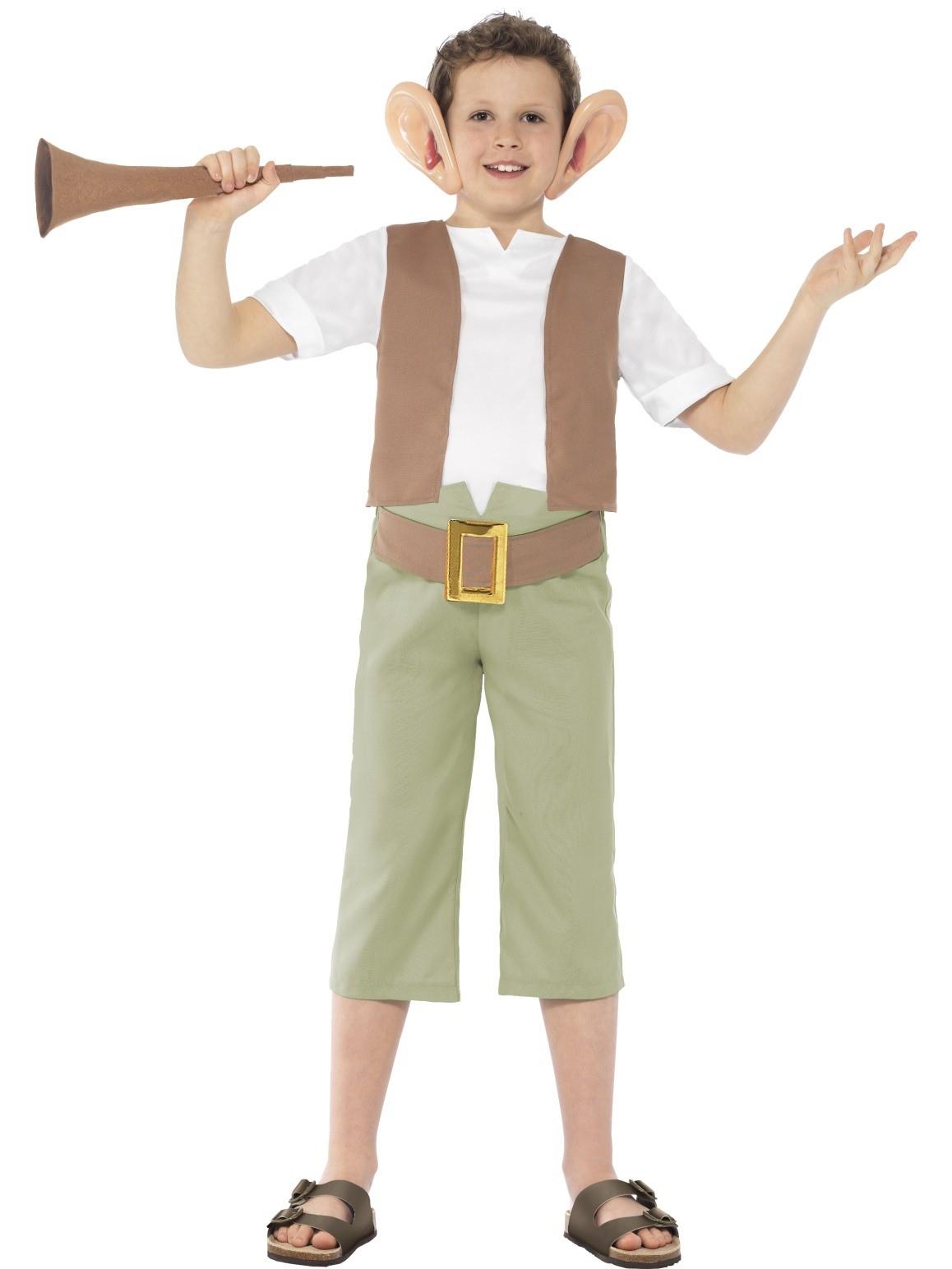 Roald Dahl The BFG Child Costume Large