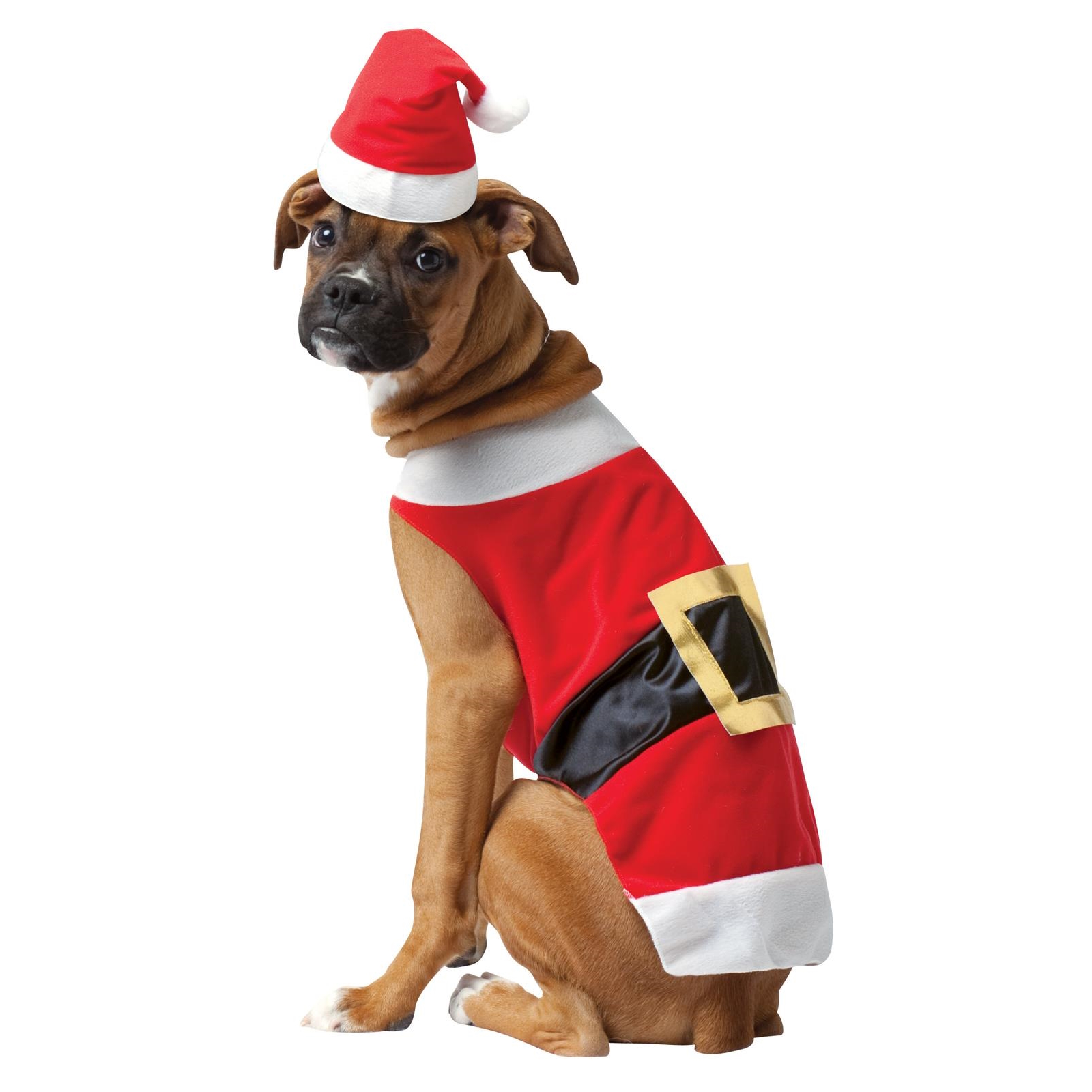 Santa Pet Costume