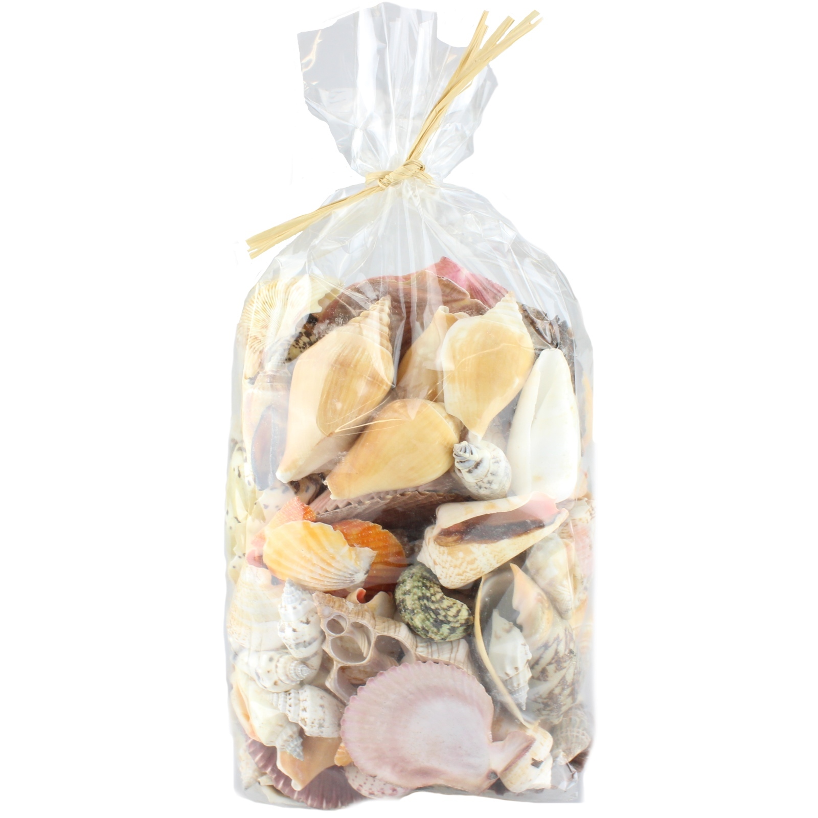 Large Shell Pack A